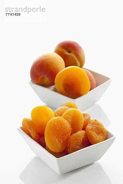 Frische und getrocknete Aprikosen in Schale auf weißem Grund  Nahaufnahme