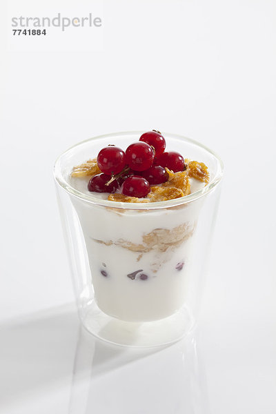 Glas Joghurt mit Müsli  Cornflakes und roten Johannisbeeren auf weißem Grund  Nahaufnahme