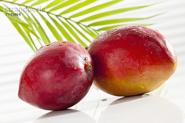 Mango mit Palmblatt auf weißem Hintergrund  Nahaufnahme