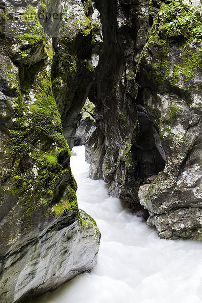 Tolminska korita  Tolminka-Schlucht  Klamm  in Tolmin  im Nationalpark Triglav  Julische Alpen  Slowenien  Europa