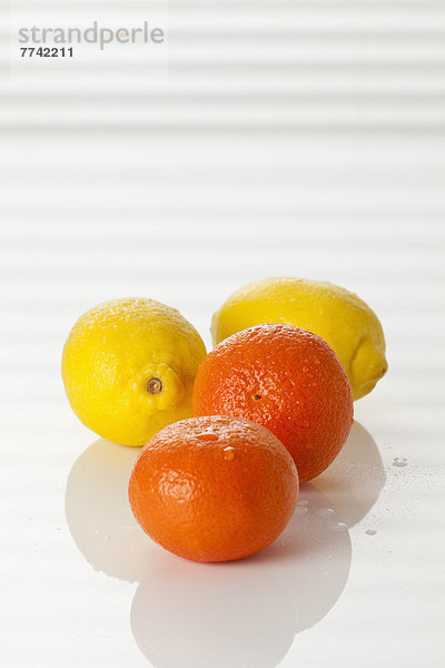 Frische Zitrone und Clementinen  Nahaufnahme