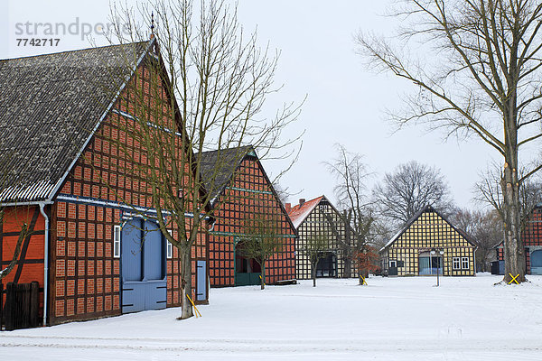 Büste Max Henius im Naturschutzpark Rebild Bakker  Waldgebiet Rold Skov