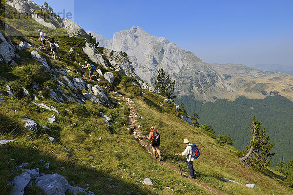 Europa  Montenegro  Wandergruppe auf dem Komovi-Gebirge