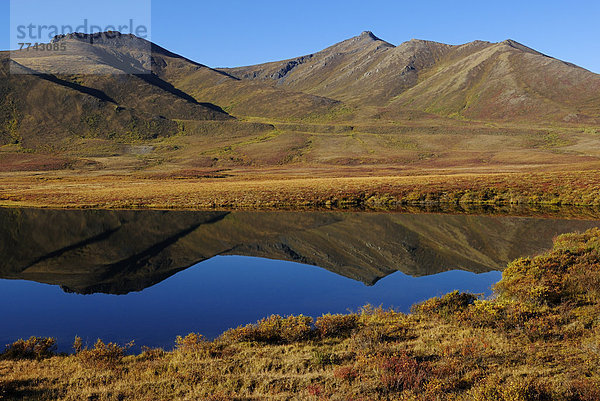 Kanada  Blick auf den See in der Tundra-Landschaft im Tombstone Territorial Park