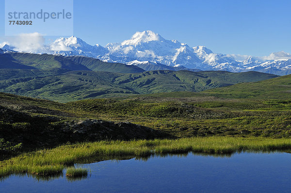 USA  Alaska  Blick auf Mount McKinley