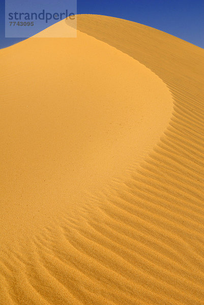 Algerien  Blick auf Sanddünen in der Wüste bei Tin Akachaker