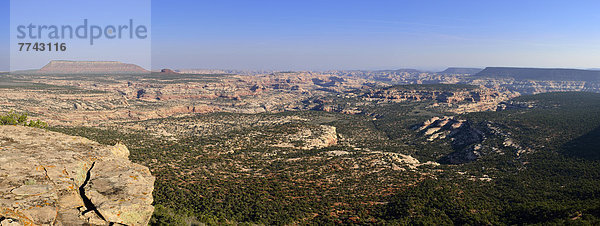 USA  Utah  Blick auf den Canyonlands Nationalpark