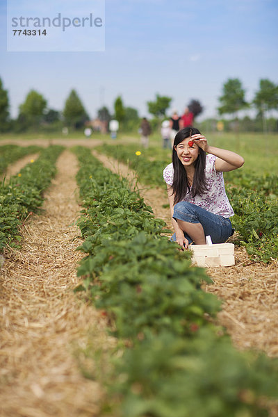 Junge Japanerin zeigt Erdbeere im Feld
