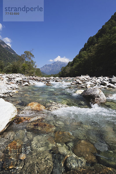 Europa  Schweiz  Blick auf den Fluss Verzasca