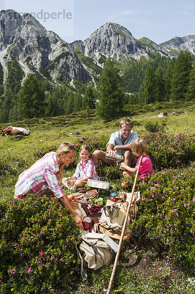 Österreich  Salzburg  Familie beim Picknick in den Bergen