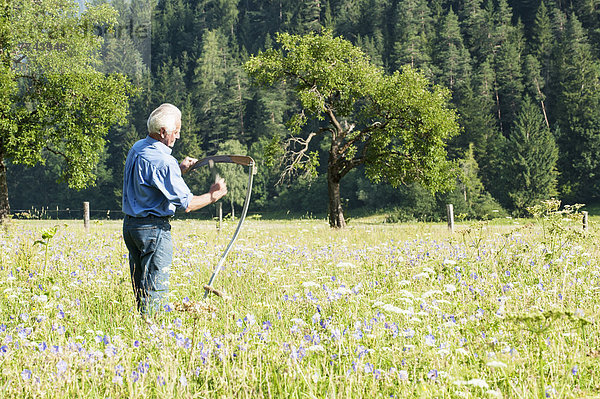 Österreich  Salzburg  Senior Bauer auf der Sommerwiese