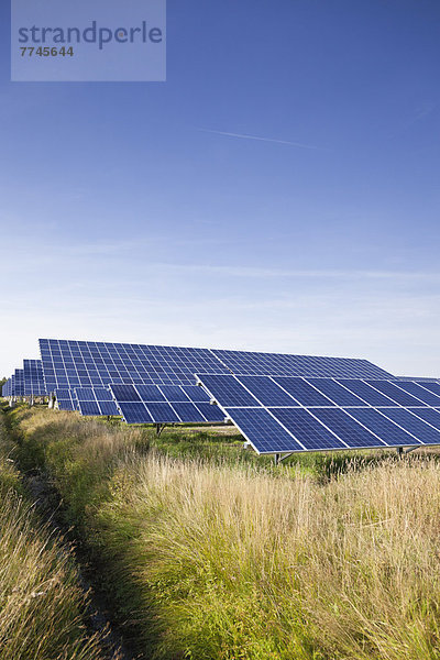 Deutschland  Nordrhein-Westfalen  Solarmodule im Solarpark bei Saerbeck