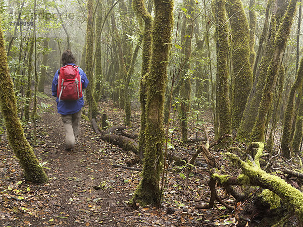 Spanien  La Gomera  Reife Frau beim Wandern durch den Nebelwald