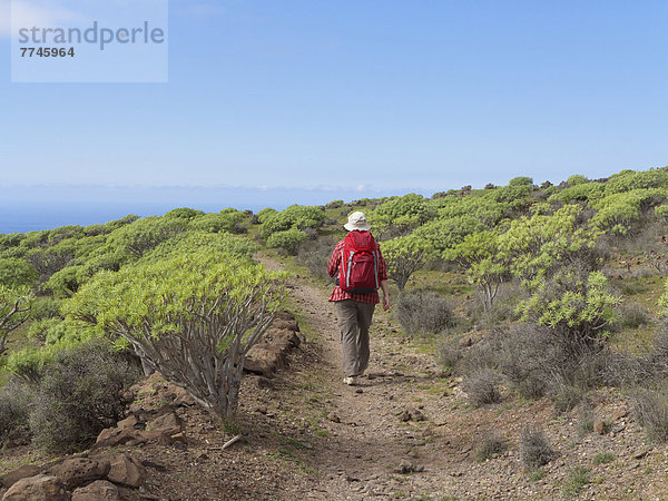 Spanien  La Gomera  Reife Frau beim Wandern durch Euphorbia-Büsche am Berg La Merica