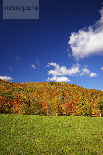 USA  Ansicht der Landschaft