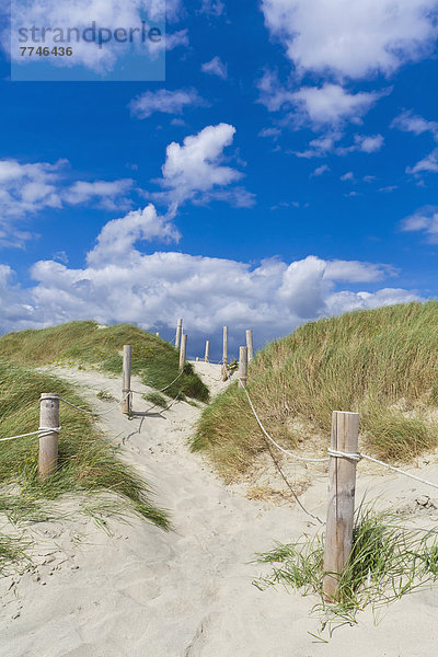 England  Sussex  Chichester  Weg durch die Sanddüne am Strand von West Wittering