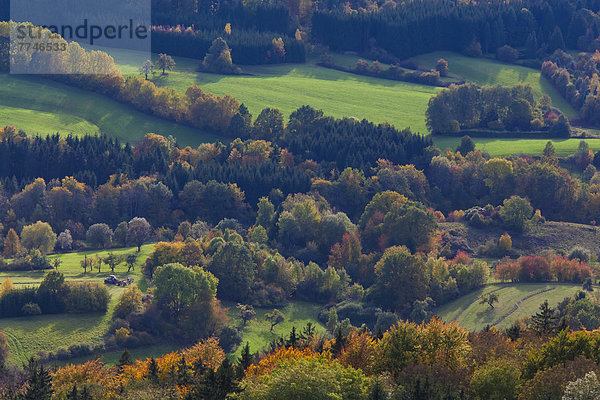 Deutschland  Baden Württemberg  Waldblick bei Hechingen