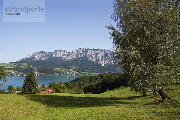 Österreich  Blick auf Attersee und Höllengebirge