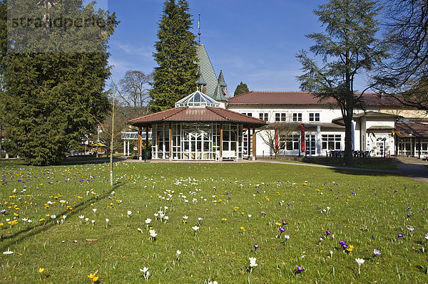 Historisches Kurhaus mit Trinkpavillon und Krokuswiese