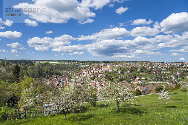 Ortsansicht  historische Altstadt