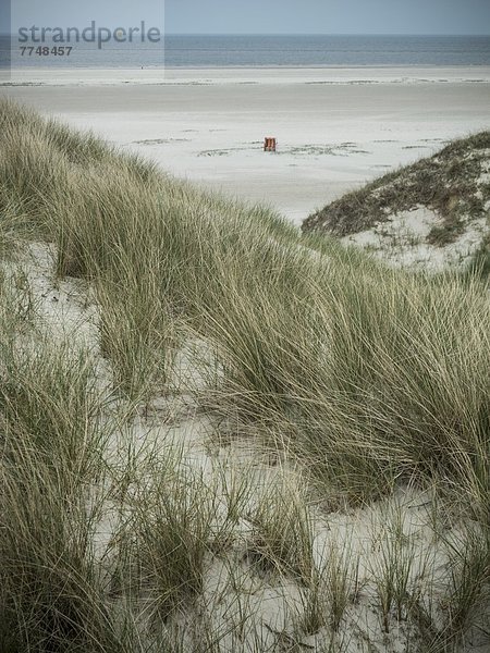 Strandkorb  Amrum  Schleswig-Holstein  Deutschland