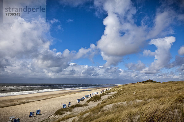 Strand der Insel Sylt nördlich von Kampen  Schleswig-Holstein  Deutschland