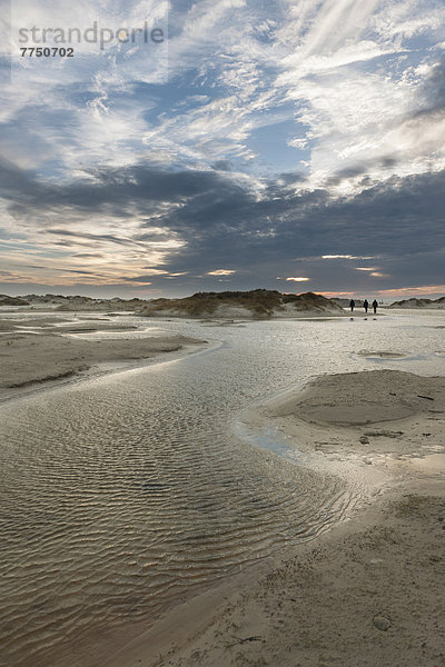 Starke Westwinde treiben das Nordseewasser in die Dünen