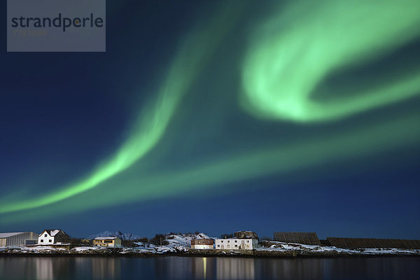Nacht Himmel über Gebäude grün Ehrfurcht Anordnung blau Reihe Polarlicht Aurora Aurora borealis