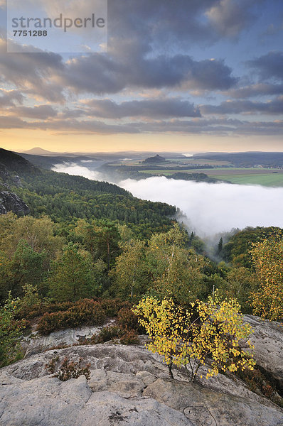 Ausblick von den Schrammsteinen über das Elbtal Richtung Zirkelstein und Kaiserkrone im Herbst zum Sonnenaufgang