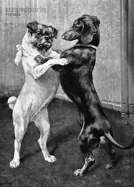 '''Ein Wiedersehen nach der Hundesperre''  Illustration aus Jahrbuch ''Moderne Kunst in Meisterholzschnitten''   1900'