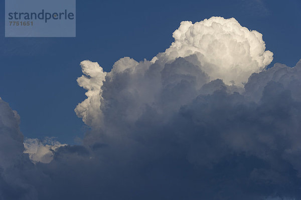 Cumulonimbus oder Kumulonimbus  Gewitterwolke