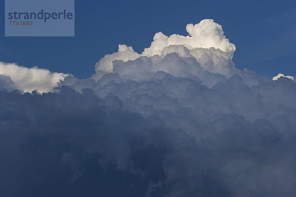 Cumulonimbus oder Kumulonimbus  Gewitterwolke