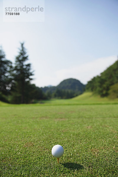 Golftee  Tee  Ball Spielzeug  Golfsport  Golf