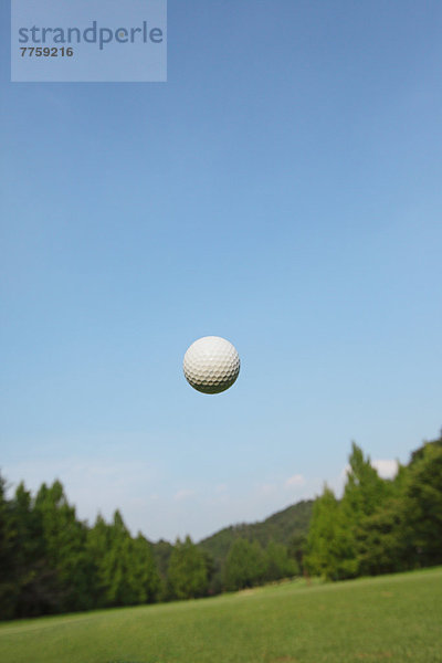 fliegen  fliegt  fliegend  Flug  Flüge  Mittelpunkt  Ball Spielzeug  Golfsport  Golf