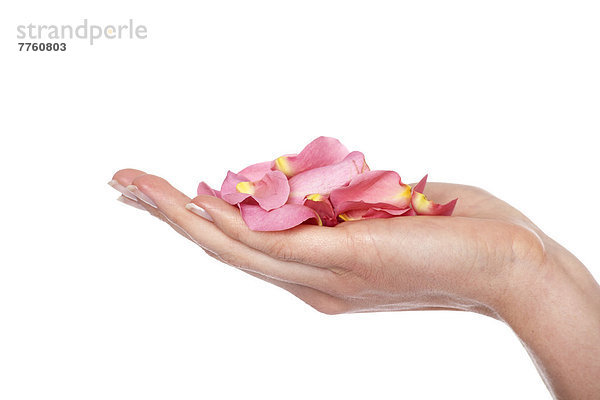 Nahaufnahme der Hand mit Blütenblättern