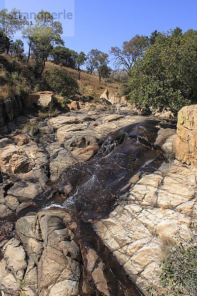 Südliches Afrika  Südafrika  Afrika  Gauteng