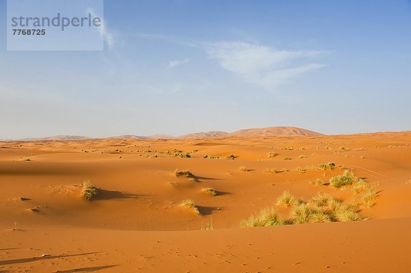 Nordafrika  Landschaft  Wüste  Sand  Düne  Afrika  Marokko