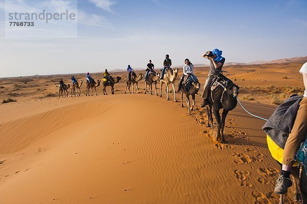 Nordafrika  fahren  Tourist  Wüste  Afrika  Kamel  Marokko  mitfahren