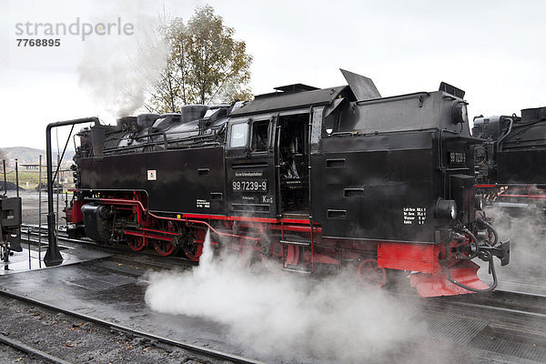 Dampflok der Harzer Schmalspurbahnen  Brockenbahn im Bahnhof