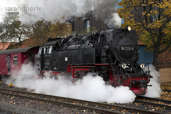 Dampflok der Harzer Schmalspurbahn  Brockenbahn