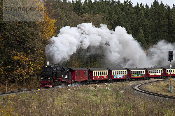 Harzer Schmalspurbahn auf dem Weg zum Brocken