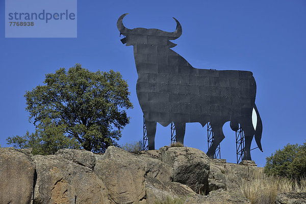 Osborne-Stier  Toro de Osborne