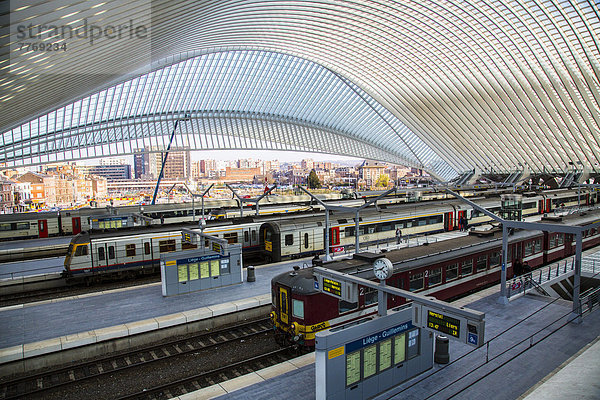Der Bahnhof von Lüttich  Gare de Liège-Guillemins  entworfen vom spanischen Architekten Santiago Calatrava