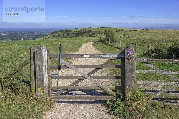 Europa  Großbritannien  Weg  Ansicht  England  Wanderweg  South Downs  Sussex