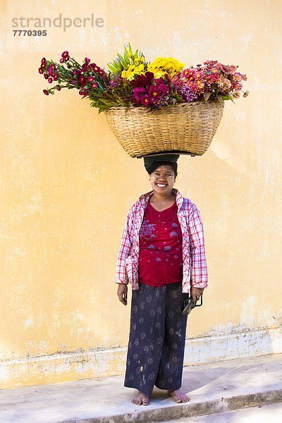 Frau  Frische  tragen  Blume  Tradition  Korb  streichen  streicht  streichend  anstreichen  anstreichend  groß  großes  großer  große  großen  Myanmar  Asien  Nyaung U