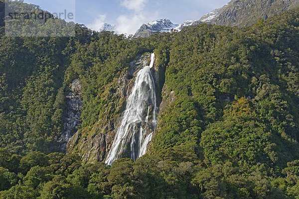 Wasserfall  Pazifischer Ozean  Pazifik  Stiller Ozean  Großer Ozean  neuseeländische Südinsel  UNESCO-Welterbe  Fiordland National Park  Milford Sound  Neuseeland  Southland