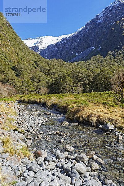 Fluss  Pazifischer Ozean  Pazifik  Stiller Ozean  Großer Ozean  neuseeländische Südinsel  UNESCO-Welterbe  Fiordland National Park  Neuseeland