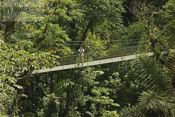 Weg  hängen  Brücke  Mittelamerika  Gast  Baldachin  Costa Rica  Regenwald