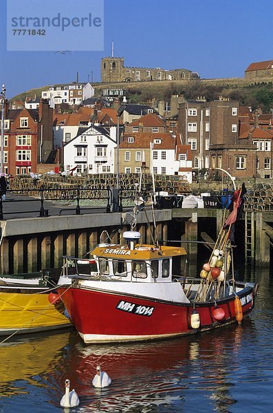 Hafen  Europa  Großbritannien  über  angeln  Ansicht  Yorkshire and the Humber  England  Whitby