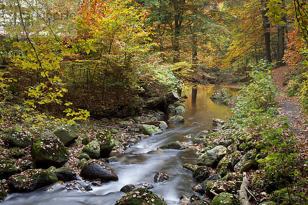 Fluss Ilse im Ilsetal im Herbst